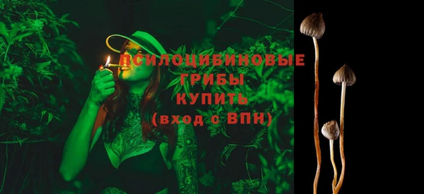 герыч Алексин