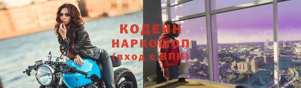 герыч Алексин