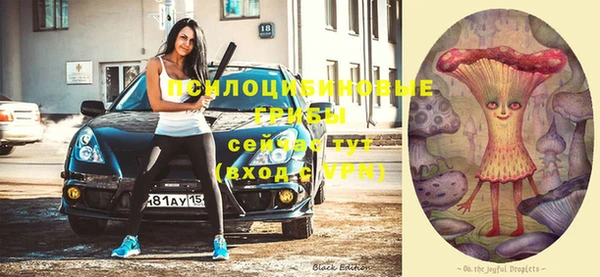 ешки Алзамай