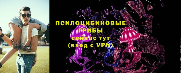 ешки Алзамай