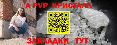 круглые Владимир