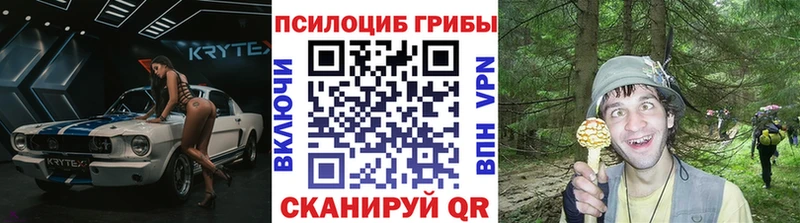 omg зеркало  Анжеро-Судженск  Псилоцибиновые грибы мухоморы  даркнет формула  купить  сайты 