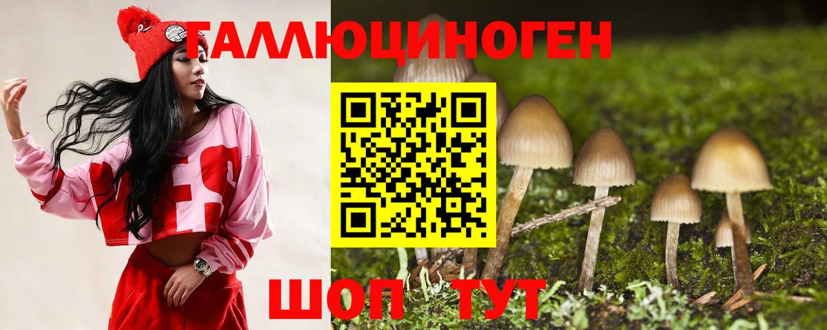 Галлюциногенные грибы Cubensis  Вход с VPN  Анжеро-Судженск 