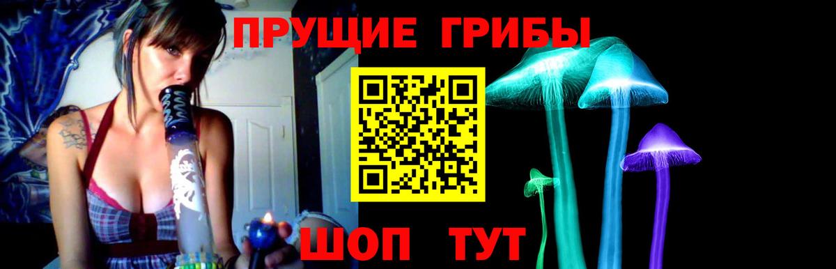 Псилоцибиновые грибы GOLDEN TEACHER Анжеро-Судженск