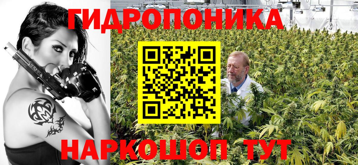 Марихуана семена Анжеро-Судженск